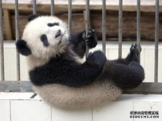 江苏省扬州市委网信办：“i芽行动” 守护每一颗“数字新芽”茁壮成长